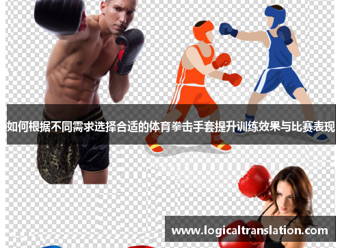 如何根据不同需求选择合适的体育拳击手套提升训练效果与比赛表现