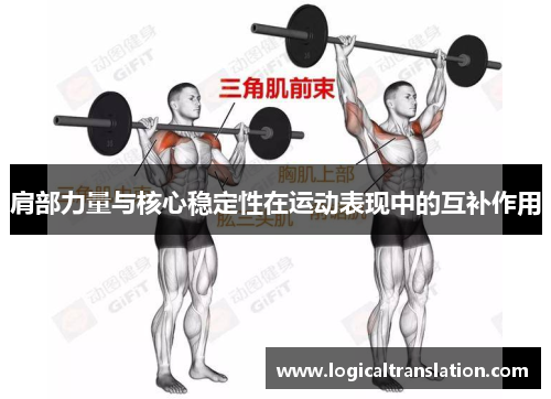 肩部力量与核心稳定性在运动表现中的互补作用